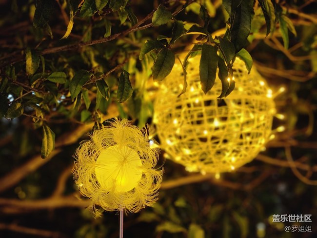 #静物写真——夜灯