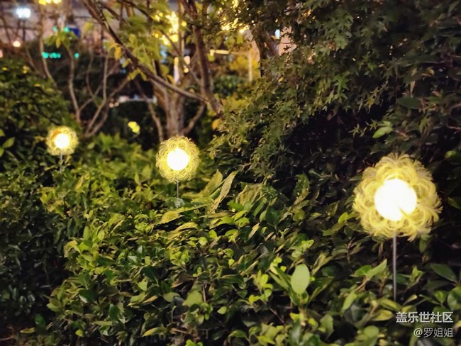 #静物写真——夜灯