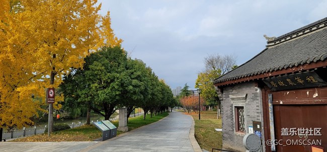 随手几张，拍的不好，请多指教。