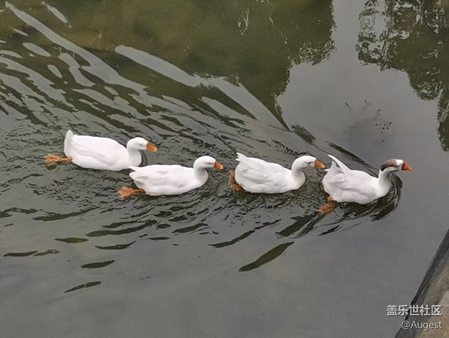 【百湖之城—武汉】欢乐谷