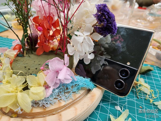 【三星W23品鉴活动】永生花制作过程全纪录