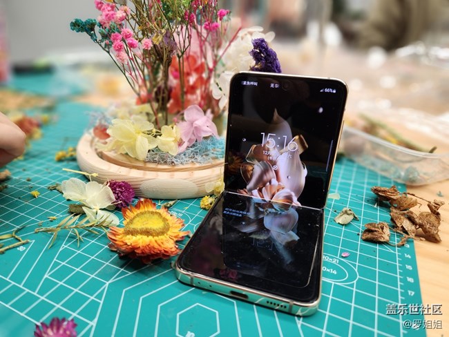 【三星W23品鉴活动】永生花制作过程全纪录