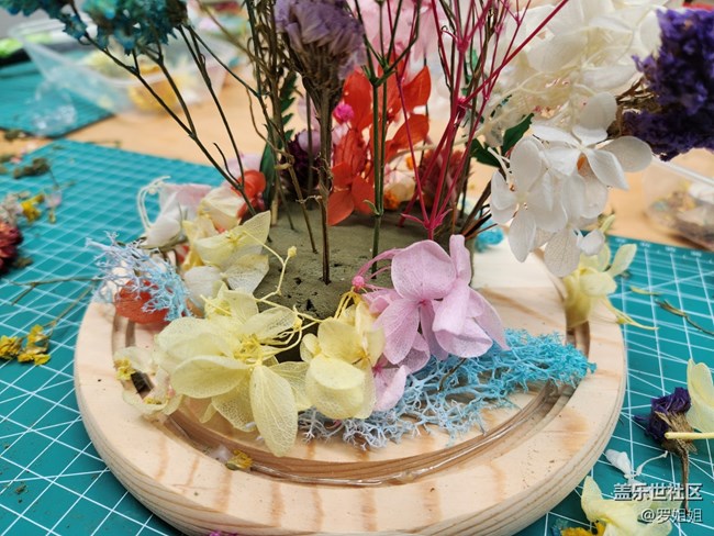 【三星W23品鉴活动】永生花制作过程全纪录