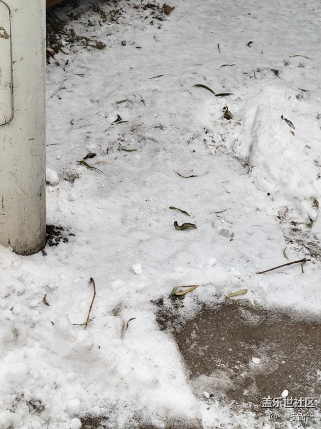 凌冬将至+小雪