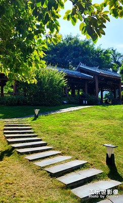【光影记忆】随拍