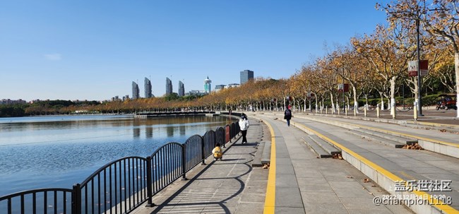 昨天又到世纪公园了