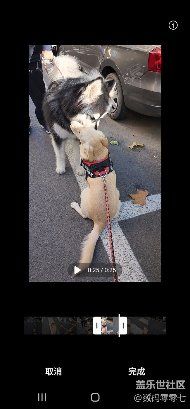 使用仙境制作属于自己的动态壁纸