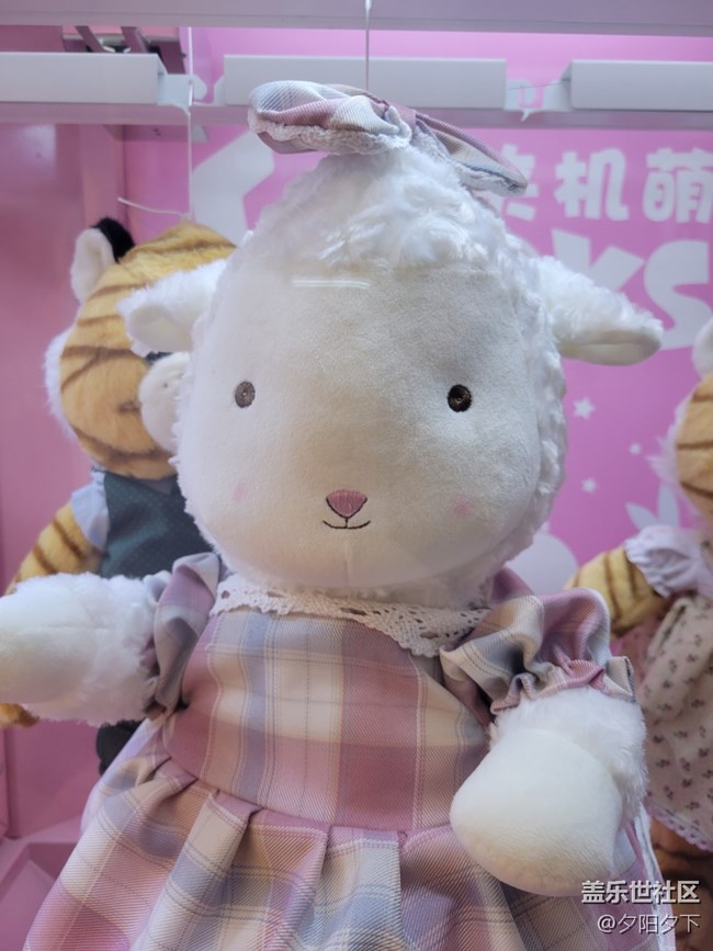 【打卡精彩生活】娃娃机