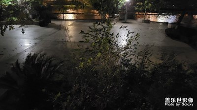 【难忘2022】疫情放开