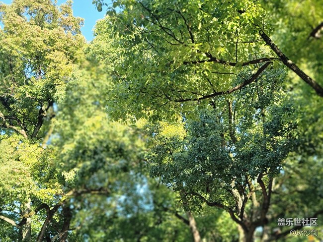 #冬日色彩——红绿相间