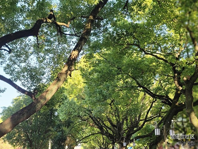 #冬日色彩——红绿相间