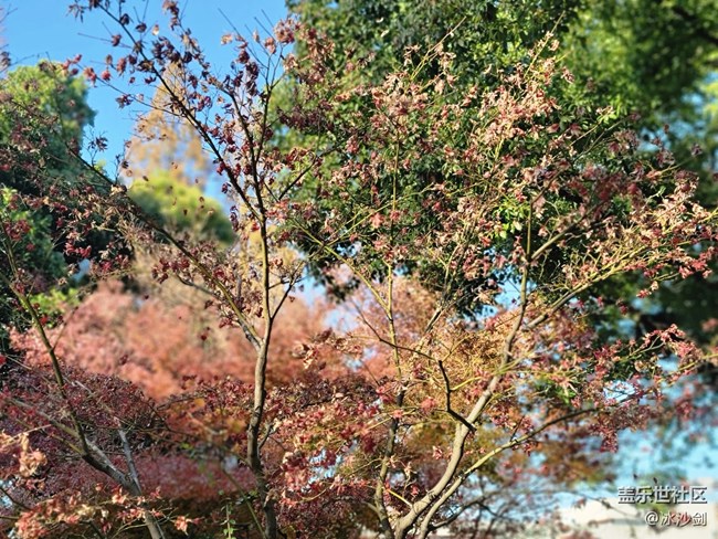 #冬日色彩——红绿相间