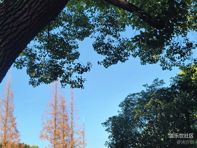 #冬日色彩——红绿相间