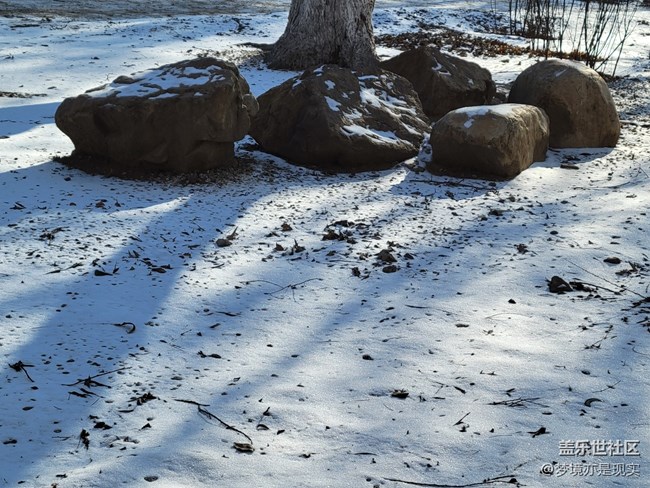 【冬日暖阳】积雪