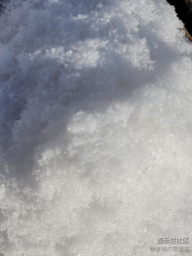 【冬日暖阳】积雪