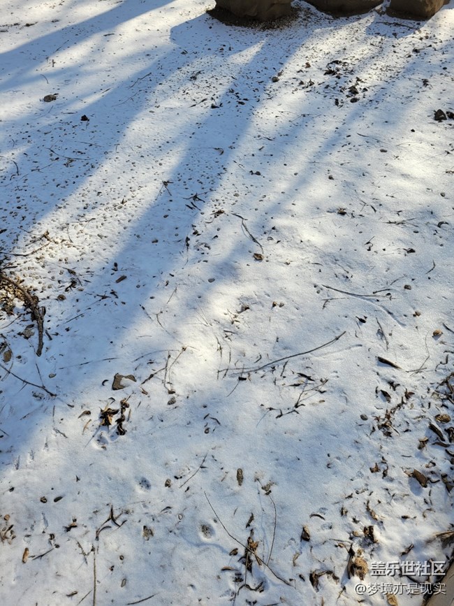 【冬日暖阳】积雪