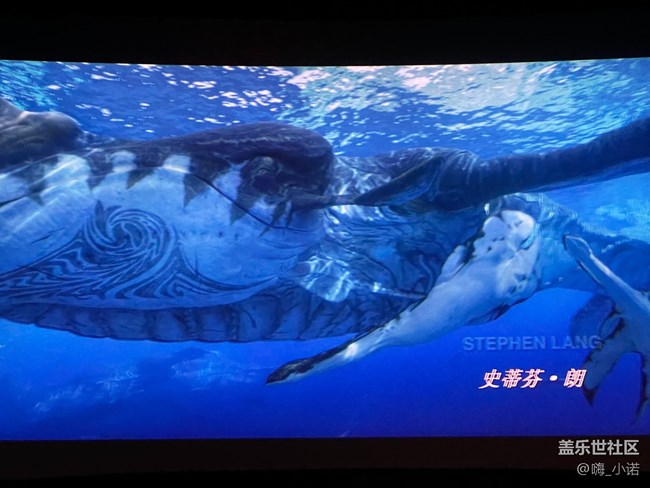 【逆阳而上】三星flip4品鉴活动