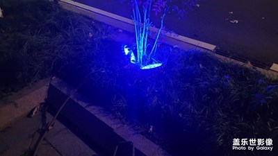 【难忘2022】圣诞节