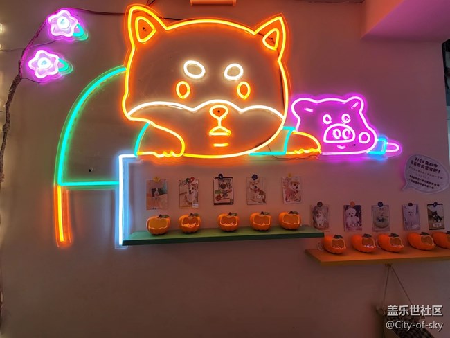 十一假期与星部落一起撸狗