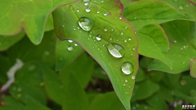 【难忘2022】+ 雨滴留痕
