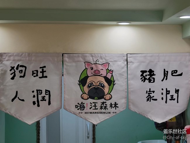 十一假期与星部落一起撸狗