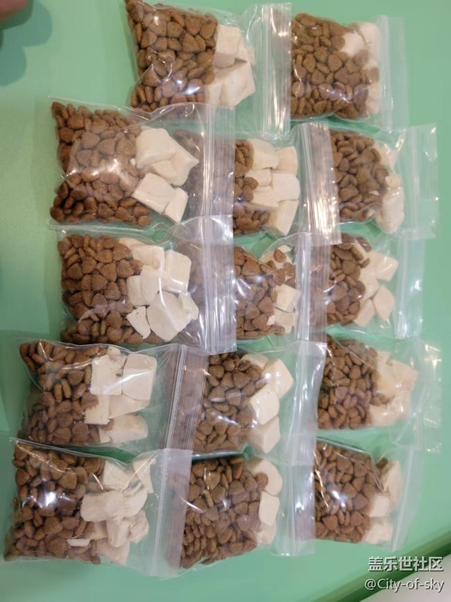 十一假期与星部落一起撸狗