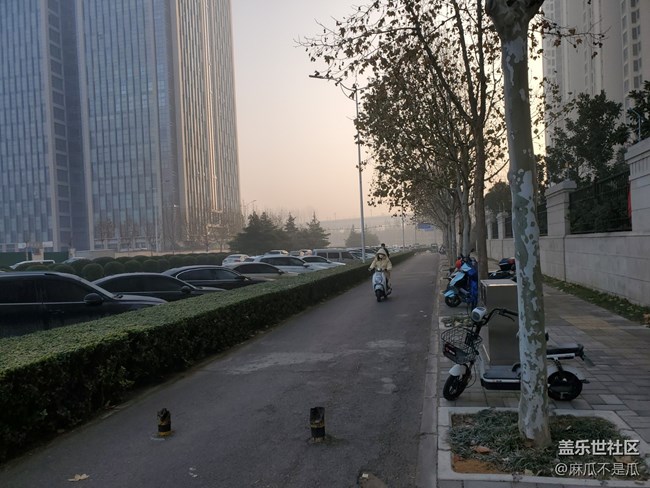 【辞旧迎新】+ 小区门口的景色