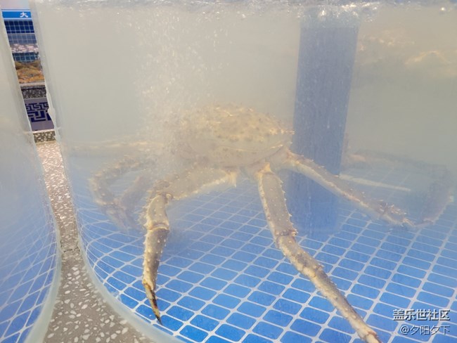 【打卡精彩生活】逛海鲜市场