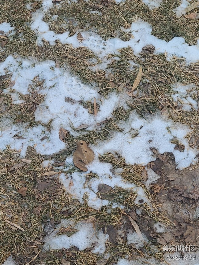 【打卡精彩生活】雪还没化