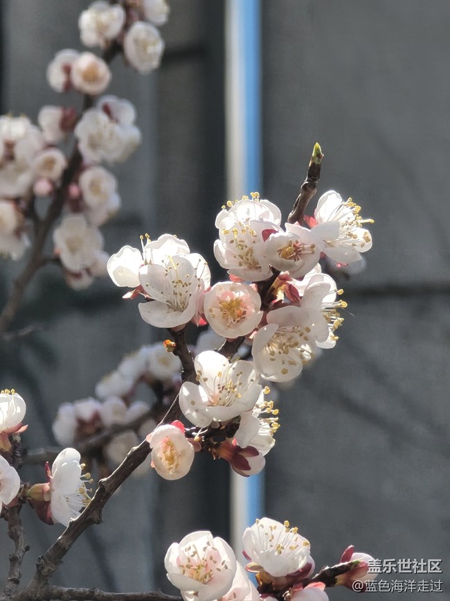 【2023一起向未来】一些拍照记录的小事