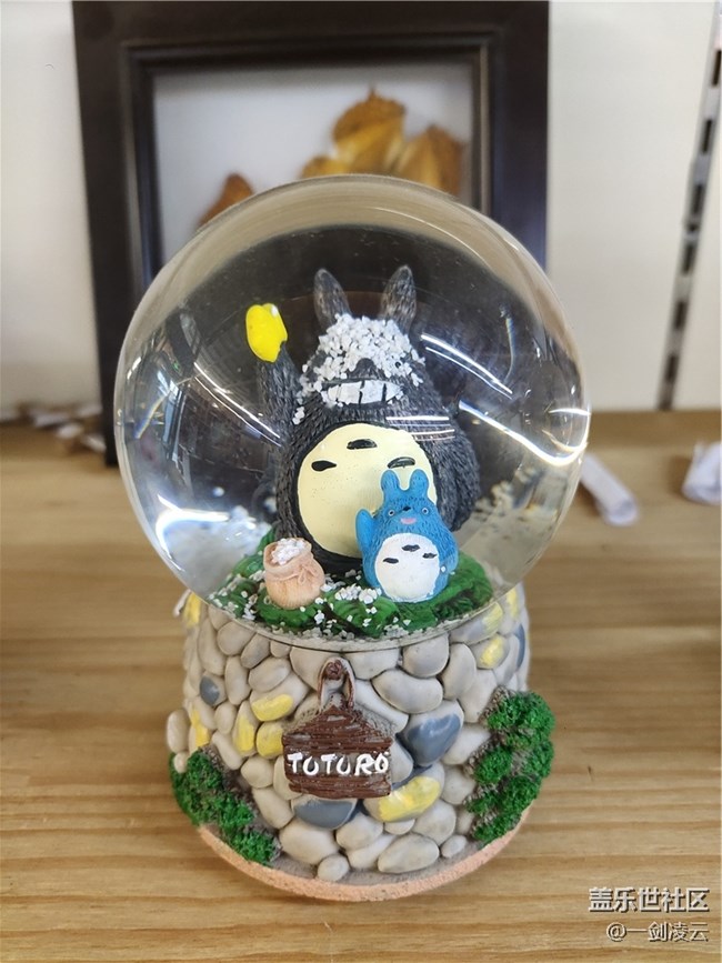 北京星部落1月线下活动——致青春，致童年