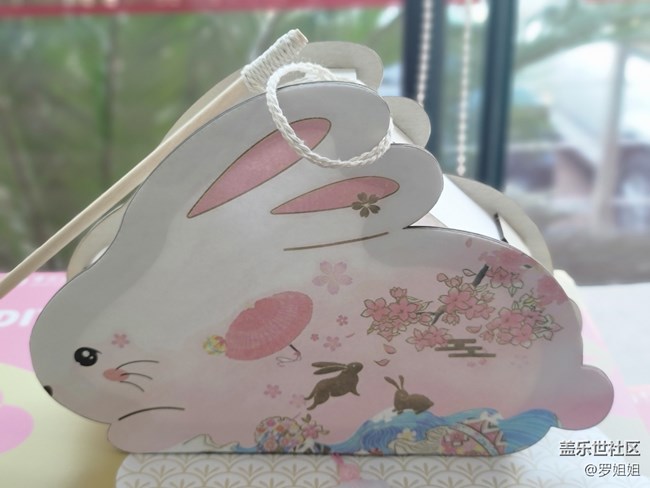 【红红火火过大年】+兔子灯