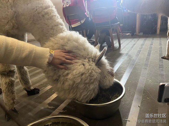 和闺蜜一起品鉴三星W23