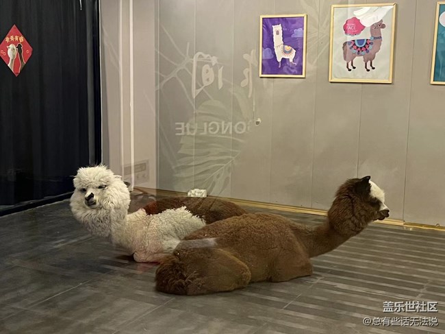和闺蜜一起品鉴三星W23