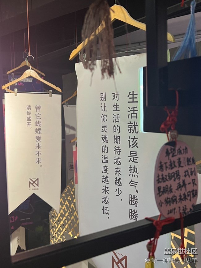沈阳W23折叠屏品鉴活动回顾