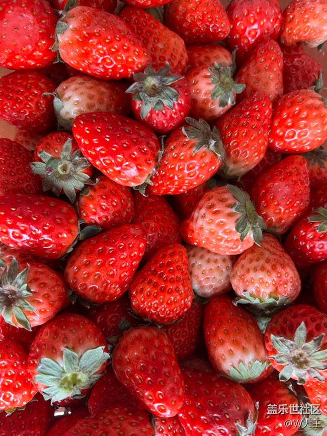 #贺岁迎新——食材