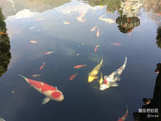 #贺岁迎新——逛庙会