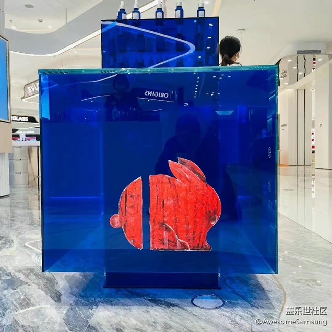 【兔年寻兔】社区的摄影主题和电视的主题，居然一致！