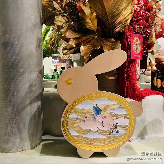 【兔年寻兔】社区的摄影主题和电视的主题，居然一致！