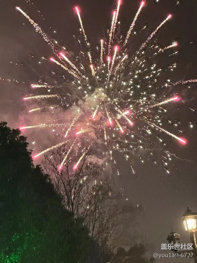 【红红火火过大年】看烟花