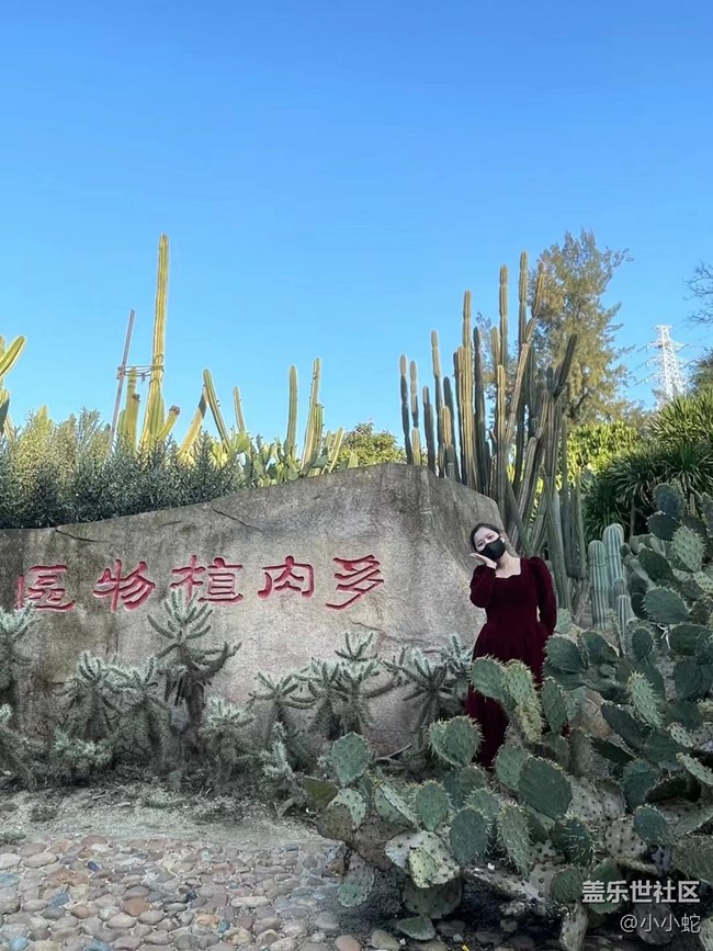 【故乡之思】兔年吉祥