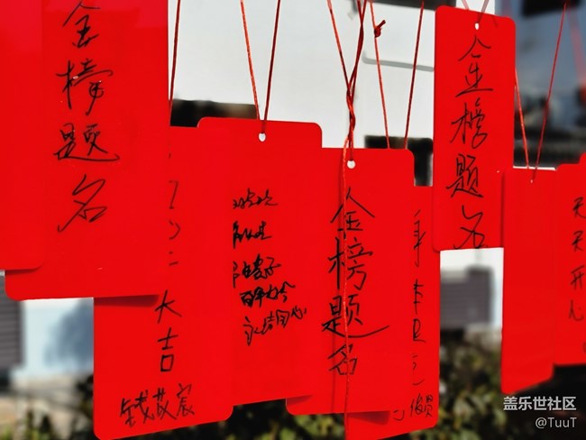 #贺岁迎新——许愿