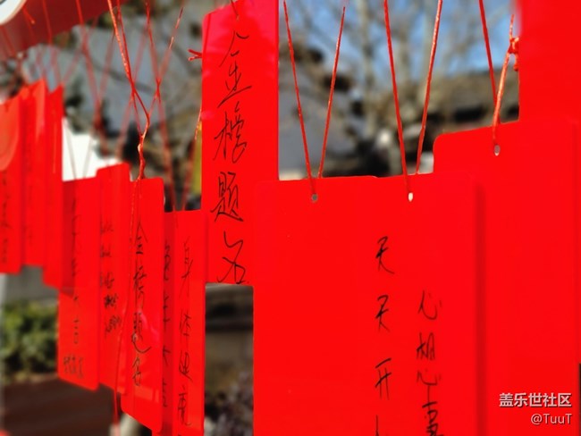 #贺岁迎新——许愿