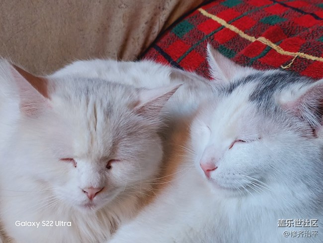 #贺岁迎新——辞旧岁