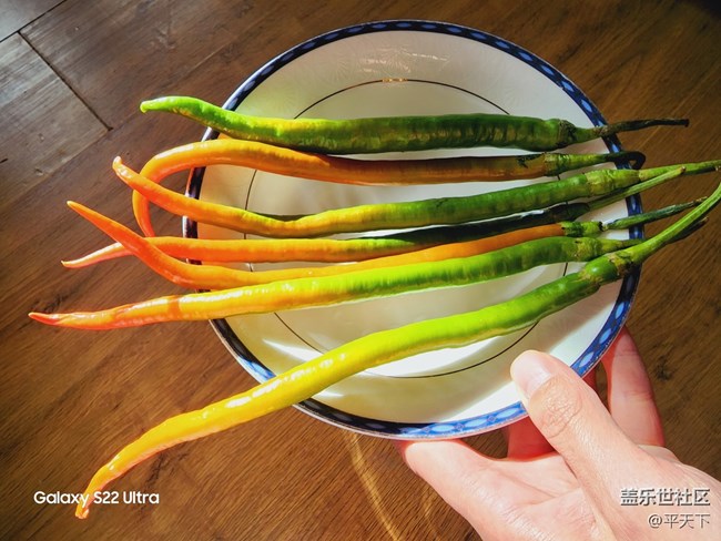 【红红火火过大年】吃一些红红火火的水果