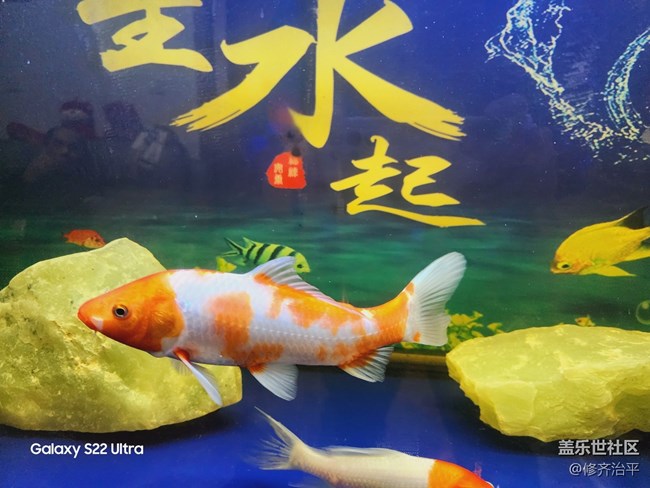 #贺岁迎新——辞旧岁