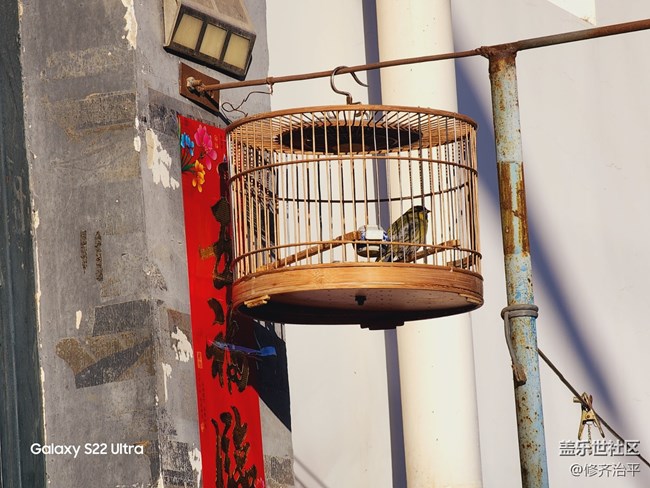 #贺岁迎新——辞旧岁