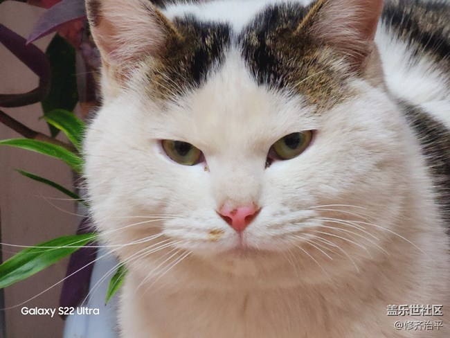 #贺岁迎新——辞旧岁