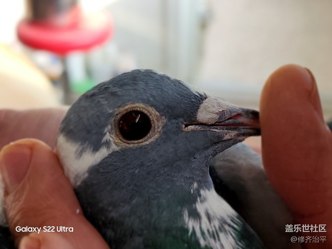 #贺岁迎新——辞旧岁