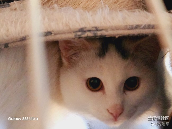 #贺岁迎新——辞旧岁